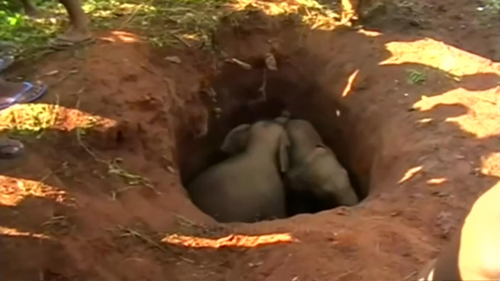 Voi me 'hoi hop' cho doi cuu ho giai cuu cap voi con roi xuong ho hinh anh