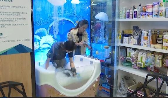 Bung no thi truong dich vu thu cung xa xi tai Trung Quoc hinh anh