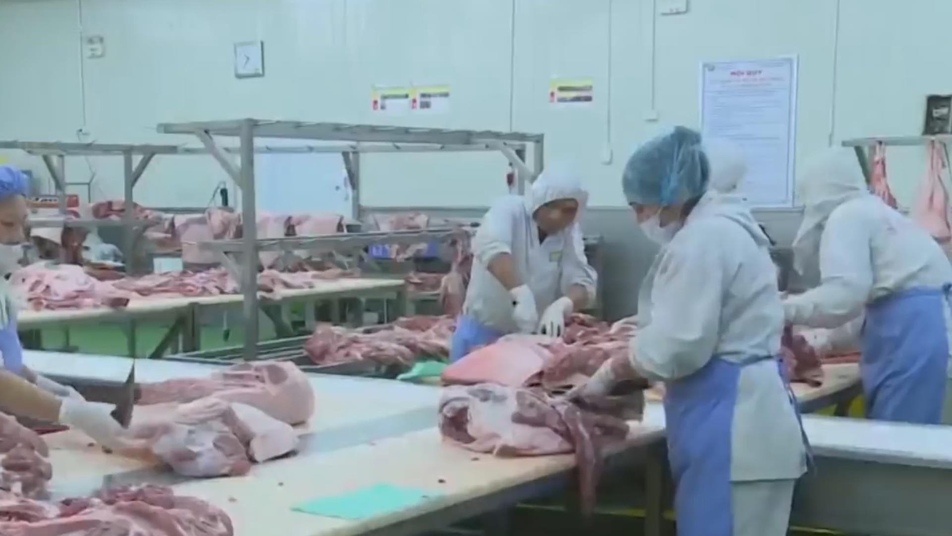 Giai phap nao cho cung- cau thit lon trong vung dich? hinh anh