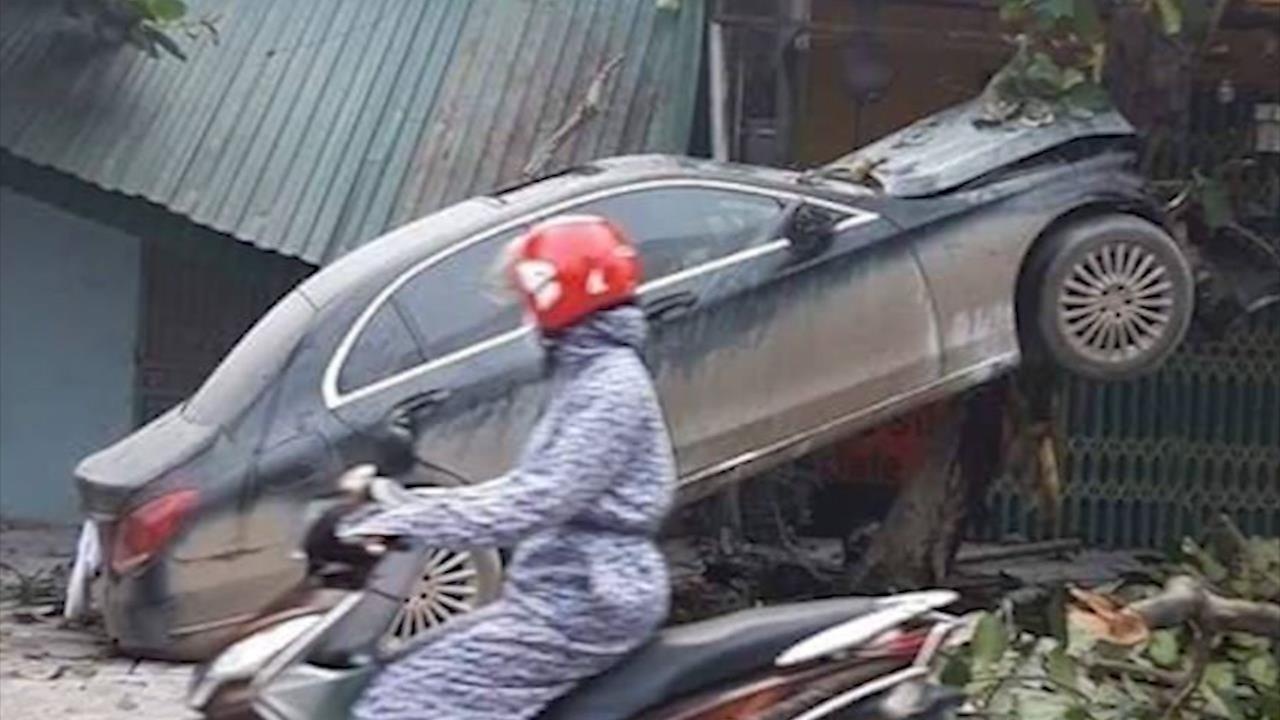 Oto bi 'vo nat dau' sau cu tong manh vao goc cay hinh anh