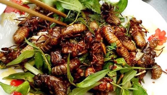 Nhap vien sau chau nhau voi ve sau hinh anh