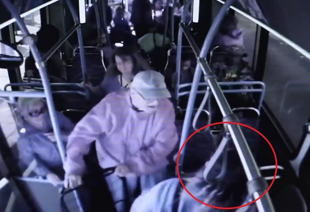 Xo nga cu ong tren xe buyt, nguoi phu nu My bi buoc toi giet nguoi hinh anh