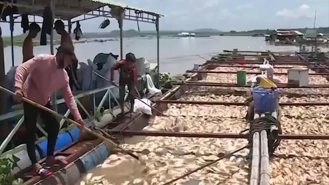 Ca chet trang xoa, nguoi dan Dong Nai bat luc ban be tra no hinh anh