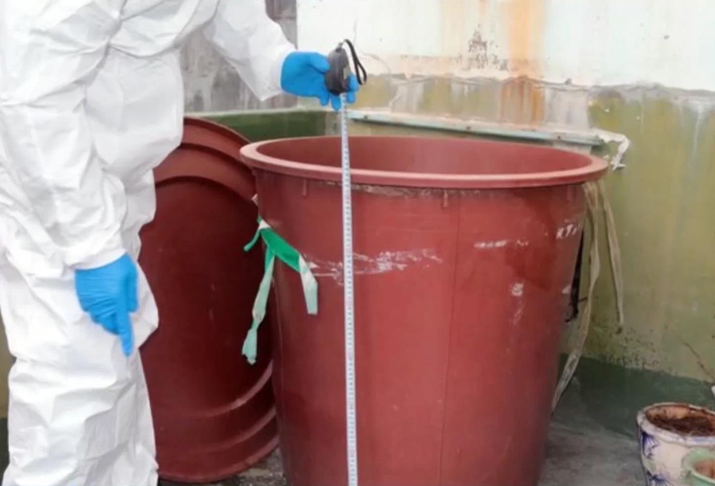 Vu an giet nguoi, do be tong rung dong tai Han Quoc hinh anh