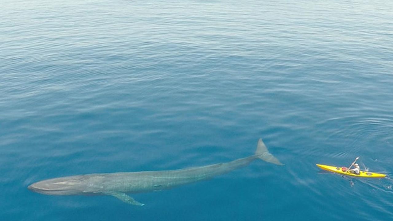 Ca voi xanh boi canh nguoi cheo thuyen hinh anh