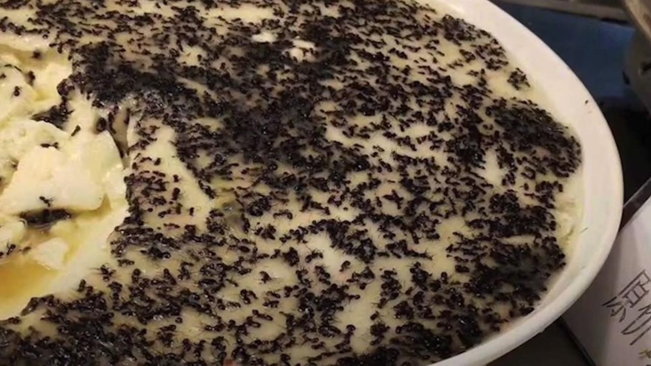 Cantin truong dai hoc o Trung Quoc phuc vu mon 'trung hap voi kien' hinh anh