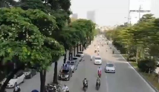 Vi sao hoa sua Ha Noi no trai mua? hinh anh