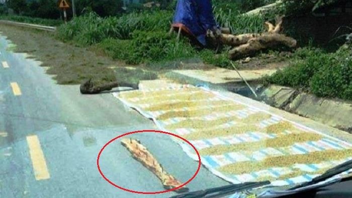 Su thuc ve buc anh phoi thoc kem rai dinh gay buc xuc hinh anh