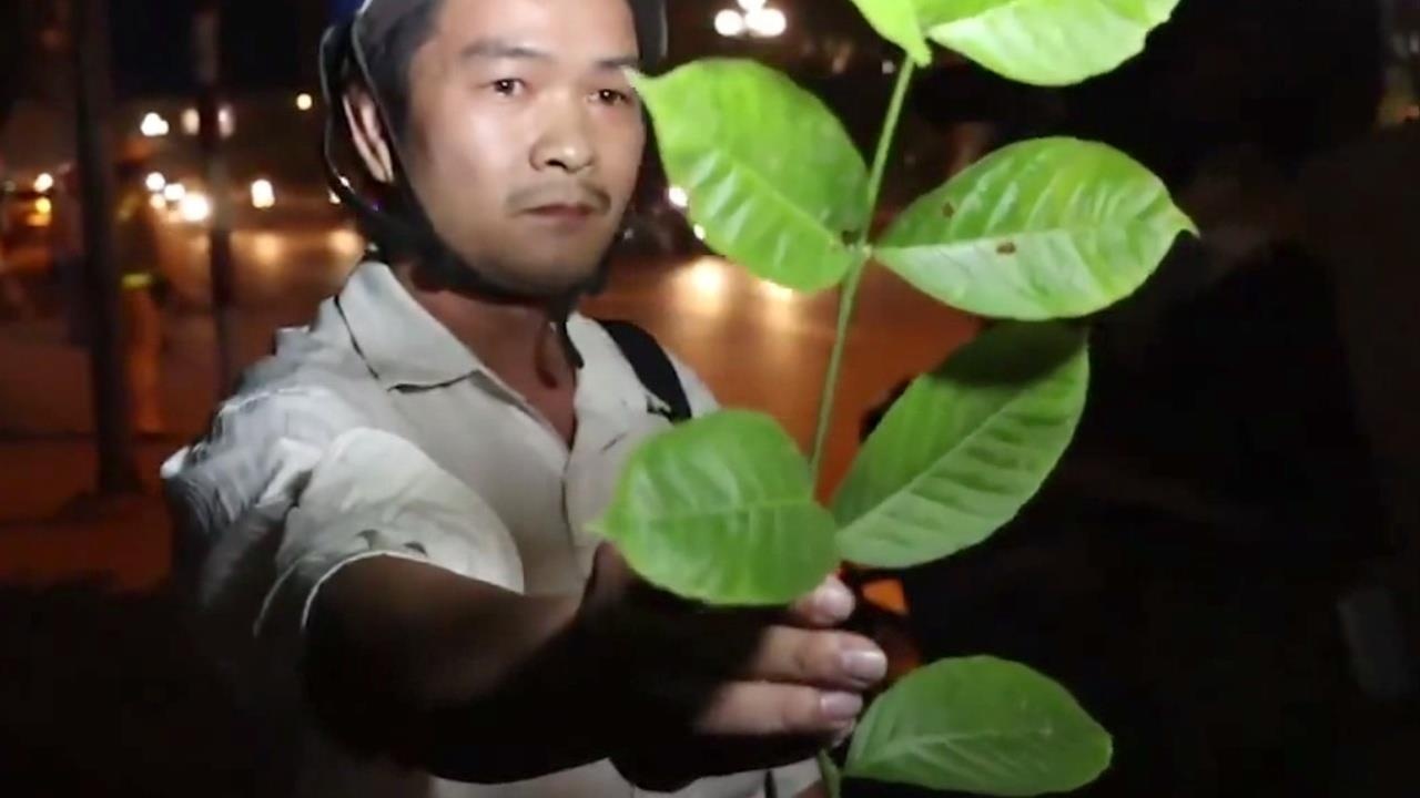 Hanh dong 'ky quac' cua cac tai xe tai chot kiem tra nong do con hinh anh