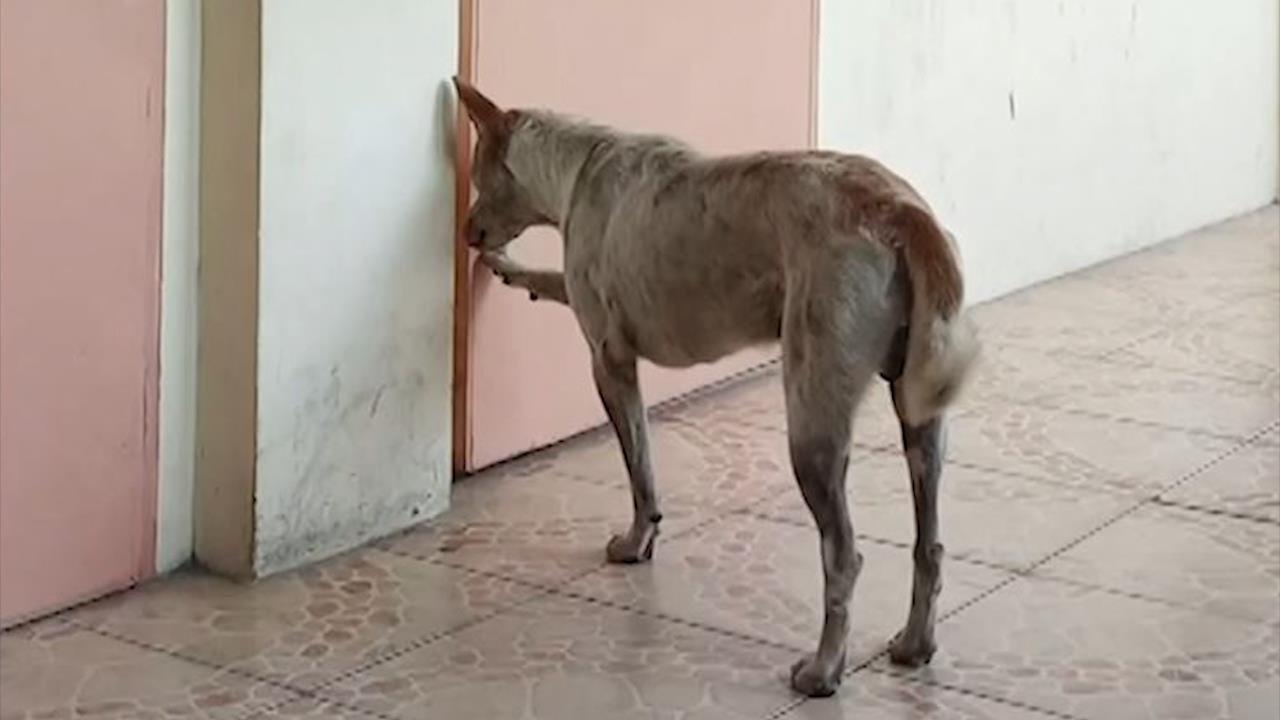 Chu cho trung thanh cho doi nguoi ban da qua doi o Philippines hinh anh