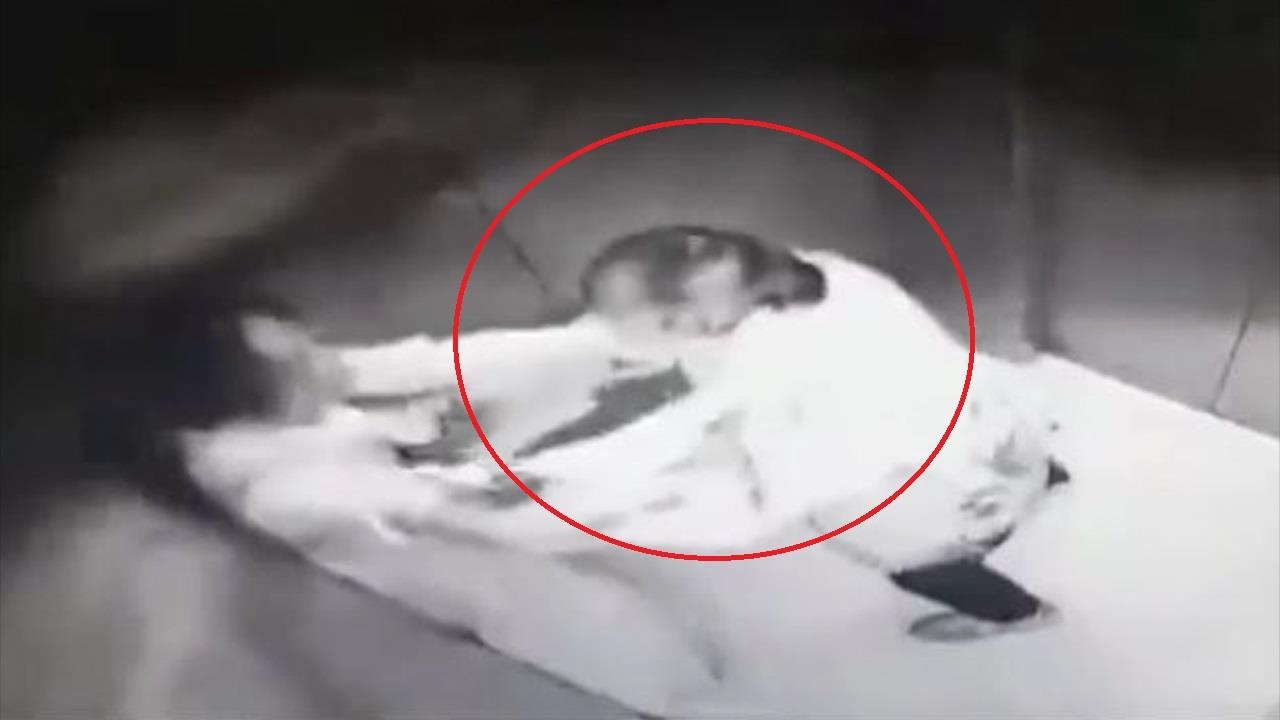 Co gai Trung Quoc bi ke bien thai cuong hon trong thang may chung cu hinh anh