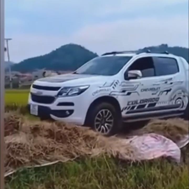 Tai xe di xe vao duong phoi lua hinh anh