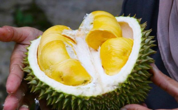 Thuc hu viec tu vong vi an sau rieng va uong nuoc ngot? hinh anh