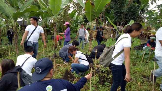 Phai trong 10 cay xanh de duoc tot nghiep hinh anh