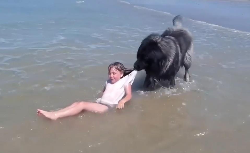 So song cuon troi co chu nho, chu cho nhat quyet loi len bo hinh anh