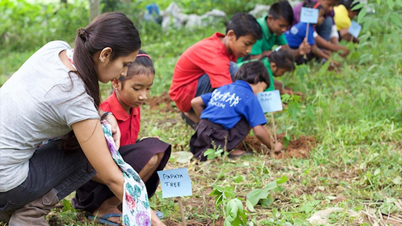 Hoc sinh muon tot nghiep phai trong cay cho truong hinh anh