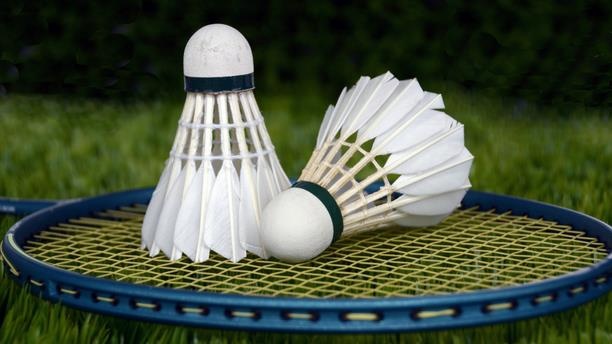 Qua cau long duoc tao ra nhu the nao hinh anh