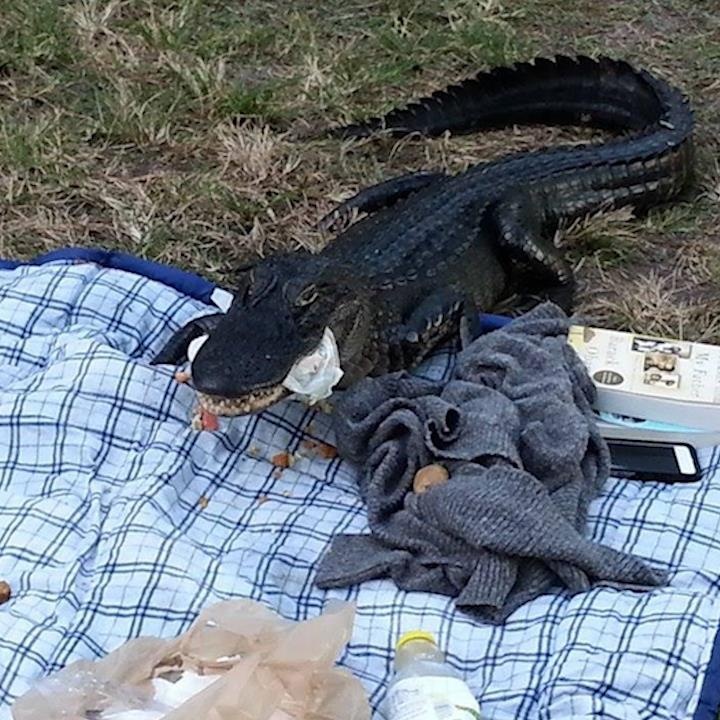 Ca sau 'ham an' pha tan buoi da ngoai cua cap tinh nhan hinh anh