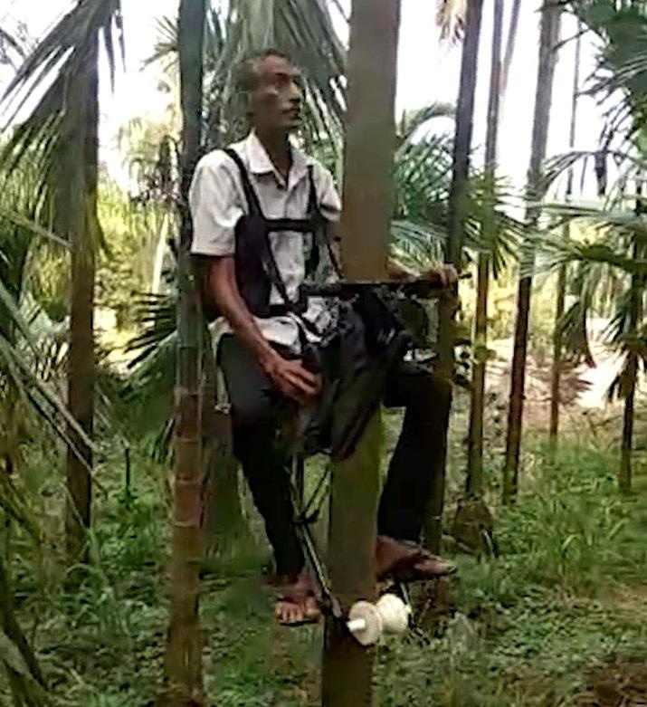 Chiec xe tu che co the leo len than cay cao vut hinh anh