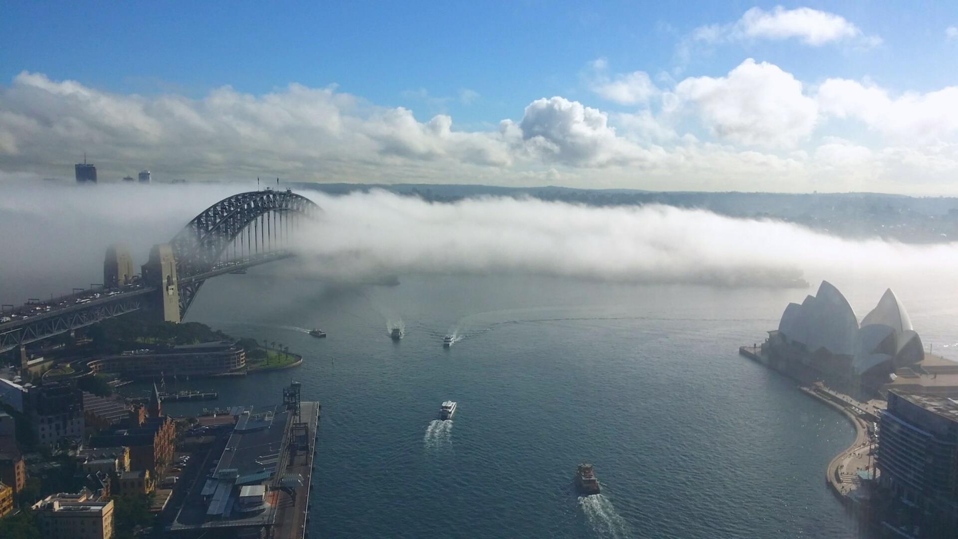 Bieu tuong Sydney bi 'nhan chim' trong lan suong mu day dac hinh anh