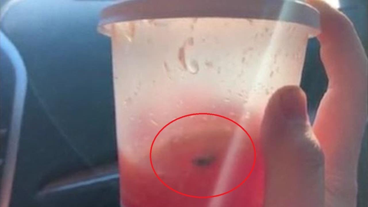 Khach hang phat hien ruoi trong tra sua, cua hang lap tuc bi dong cua hinh anh