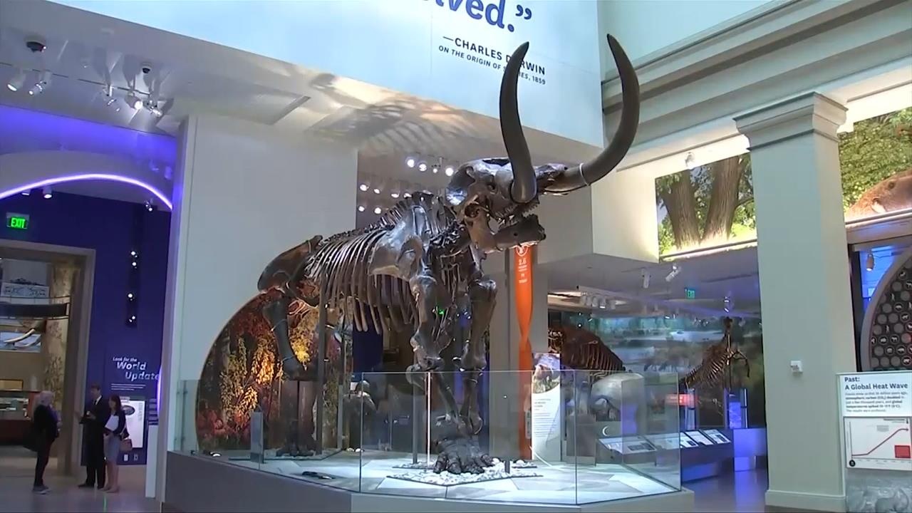 Trien lam su song tren Trai Dat qua 3,7 ty nam hinh anh