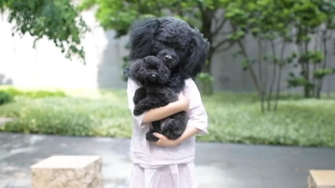 Mat na cho nguoi nuoi giong het thu cung gay sot o Nhat hinh anh