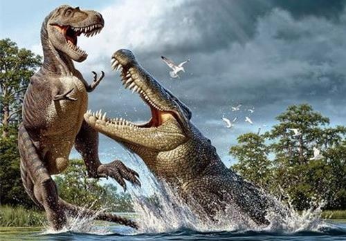 Chuyen gi xay ra neu ca sau khong lo chua tuyet chung? hinh anh