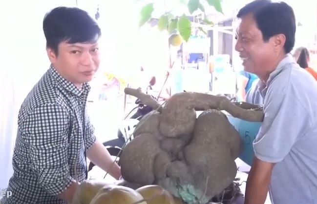 Cu binh voi 41 kg duoc gin giu suot 3 doi o Can Tho hinh anh