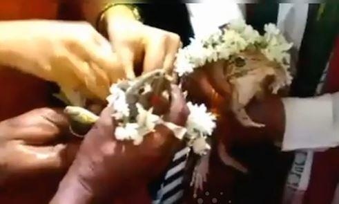 Nghi le dam cuoi cho ech de cau mua o An Do hinh anh