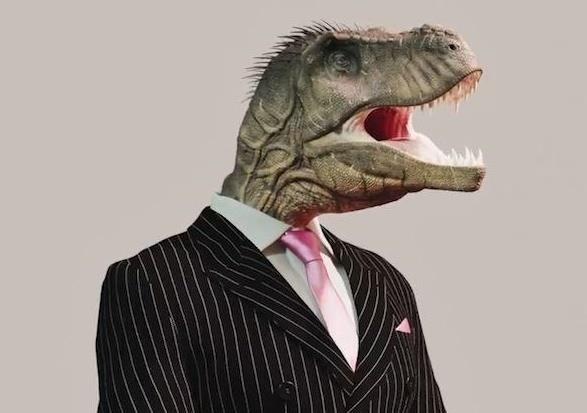 Chuyen gi xay ra neu con nguoi la dong vat mau lanh? hinh anh