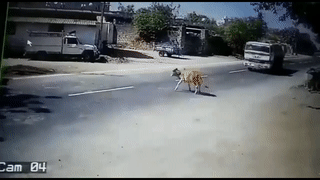 Oto danh lai xoay 180 do tranh bo dung giua duong hinh anh