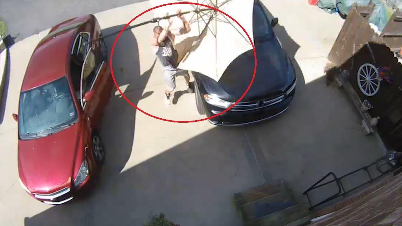 Vua do oto, tai xe nhanh tay do cay du 'bay' lao vao nguoi hinh anh