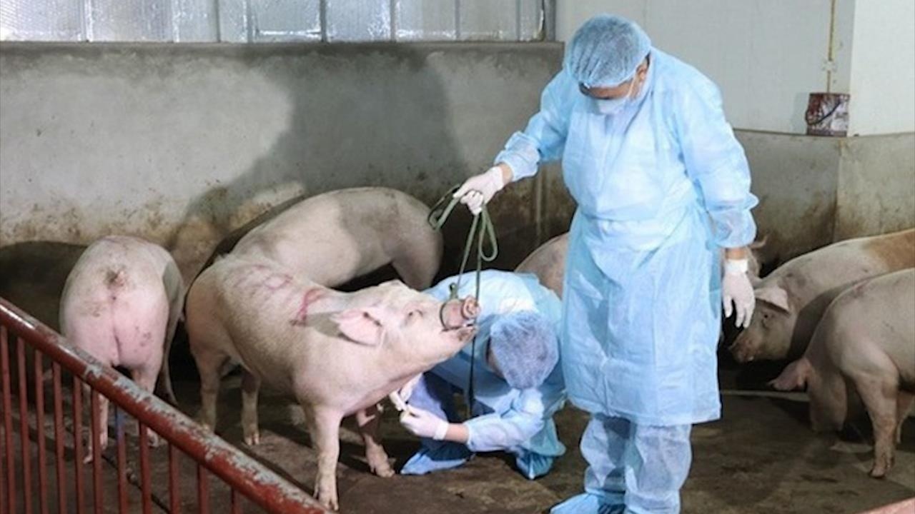 Dau tu vao kiem dich, doanh nghiep chung song voi dich ta lon chau Phi hinh anh