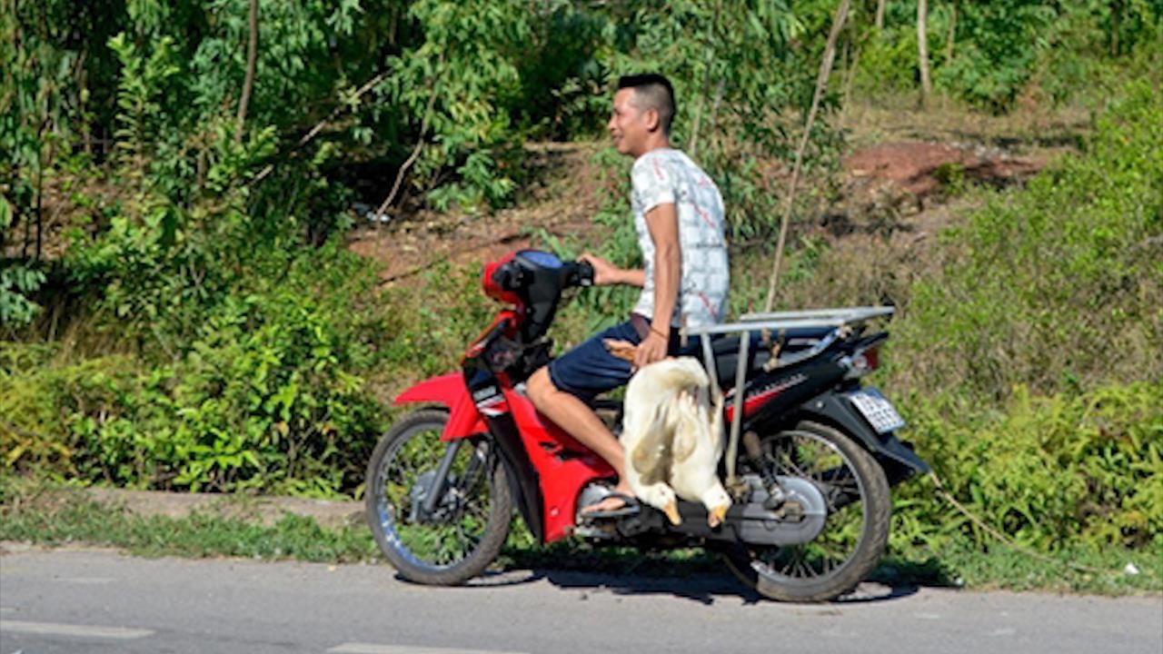 Nhung vu 'hoi cua' boi xau hinh anh nguoi Viet hinh anh