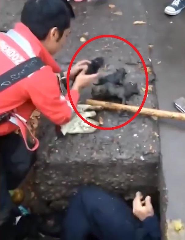 Cuu ho chui vao cong cuu dan cho con hinh anh