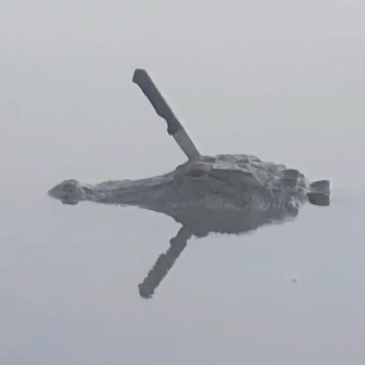 Phat hien ca sau voi nguyen con dao cam tren dau hinh anh