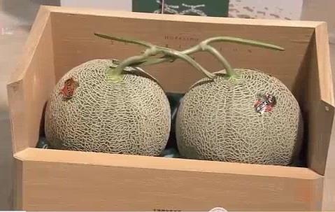 Cap dua luoi Nhat Ban dat muc gia ky luc hinh anh