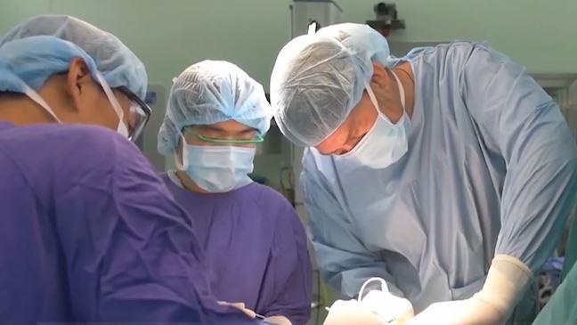 Ky thuat gay te moi loai tru dau sau mo hinh anh