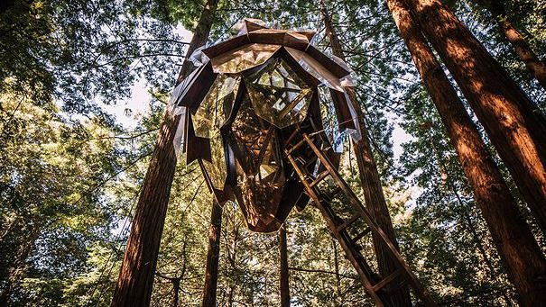 Ngoi nha hinh qua thong treo giua rung, chi mat 1 thang de xay hinh anh