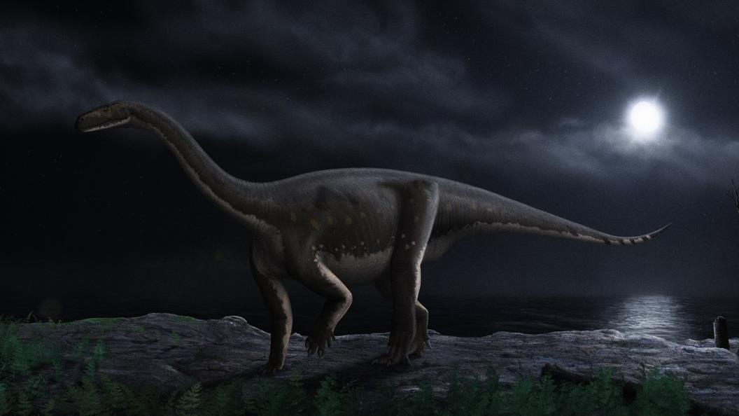 Se ra sao neu con nguoi song tren sieu luc dia 200 trieu nam truoc? hinh anh