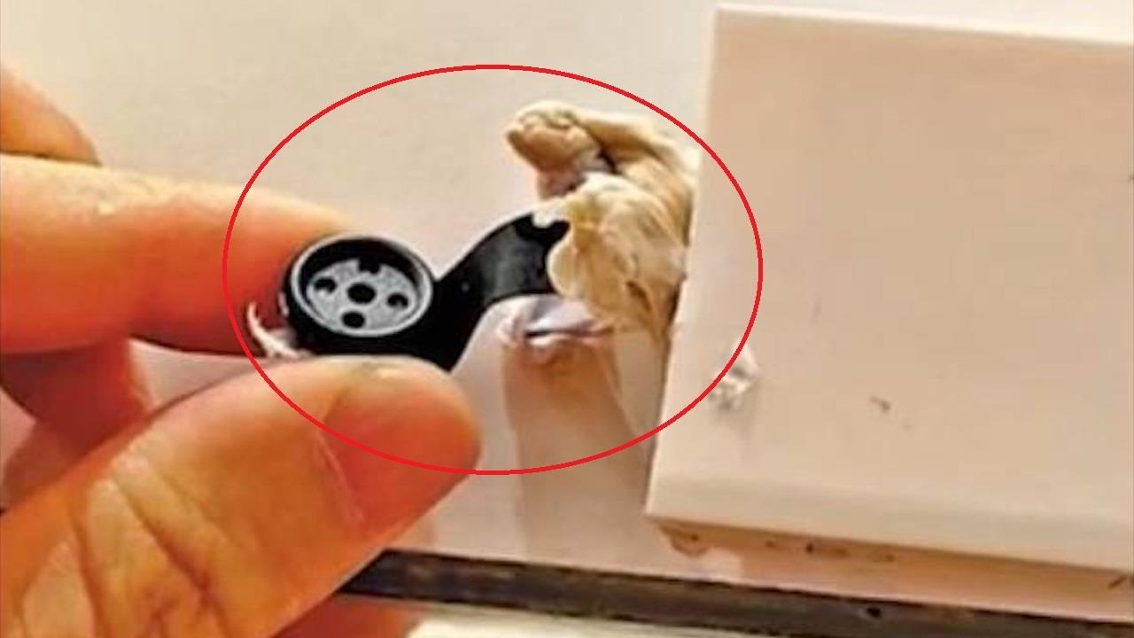 Phat hien camera quay len trong phong thay do o Trung Quoc hinh anh