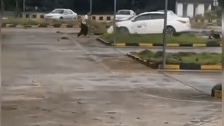 Hoc vien lai xe mat kiem soat khien oto quay vong 2 phut hinh anh