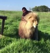 Nhan vien bao ton vuot ve su tu nhu meo con o Nam Phi hinh anh