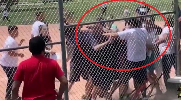 Xem con dau bong, cha me hon chien tai san hinh anh