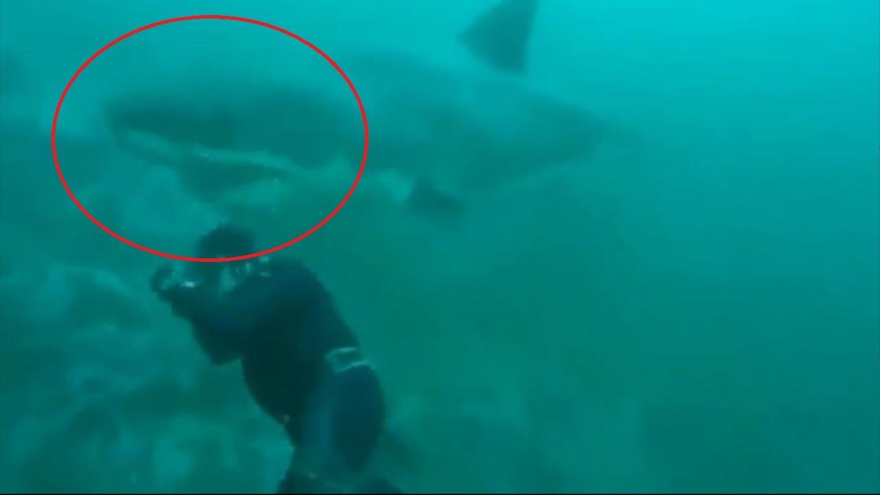 Tho lan tinh co bat gap ca map boi luot qua minh hinh anh