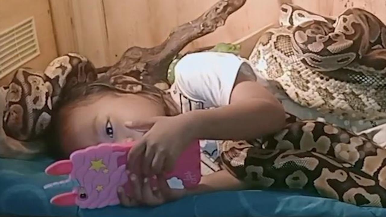 Be gai vo tu xem dien thoai xung quanh nhung con ran hinh anh