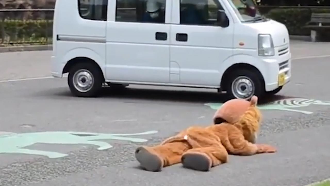 Buoi dien tap ky la voi 'su tu' cua cac so thu tai Nhat hinh anh