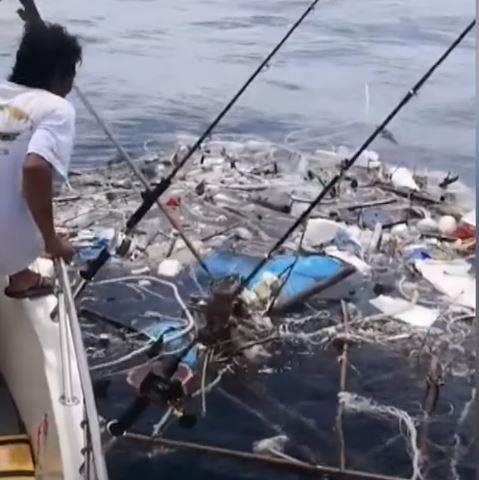 Ngu dan Thai Lan giai cuu rua bien bi mac ket trong bien rac hinh anh