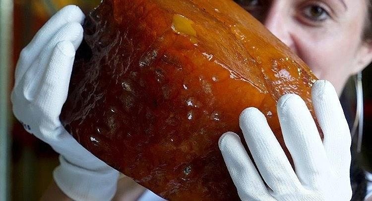 Can canh khai thac ho phach nam lan trong dat set xanh o Nga hinh anh